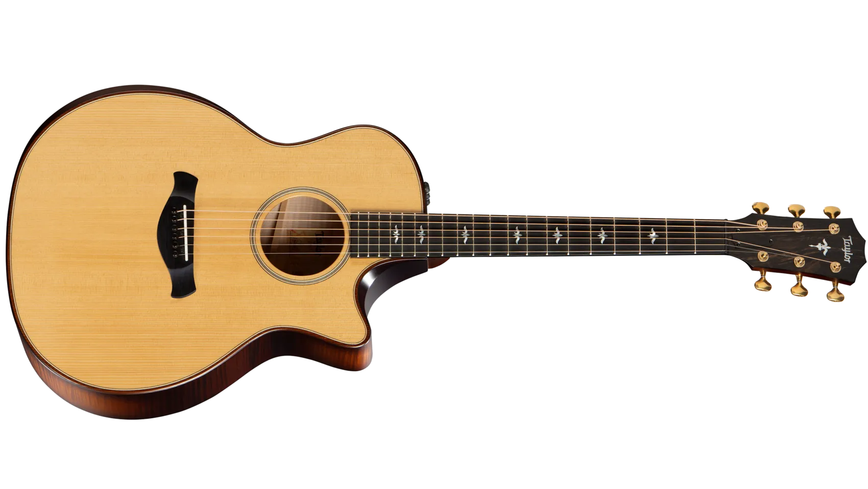 Taylor 614e LTD アコースティックギター ハードケース付き 楽天市場】Taylor（テイラー）2023 Special Edition 614ce V-Class